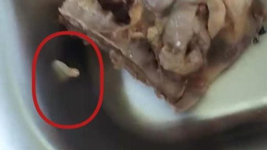 Foto: Makanan pada MBG ada ulat belatung. Sumber: Istimewa.