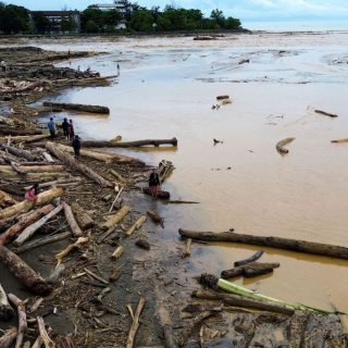 Foto: Ribuan pohon yang terseret oleh banjir bandang di Sumatera. Sumber: Istimewa.
