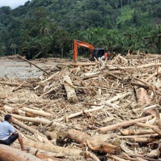 Foto: Ribuan Kayu Gelondongan yang Tersert Banjir Bandang di Sumatera. Sumber: Istimewa.