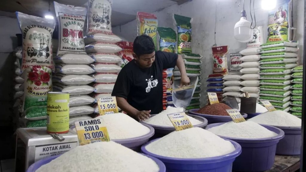 Gambar saat ini: Foto: Aktivitas pedang beras. Sumber: Istimewa.